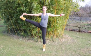 Insight Yoga by Sarah Powers